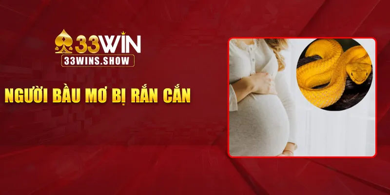 Người bầu mơ bị rắn cắn