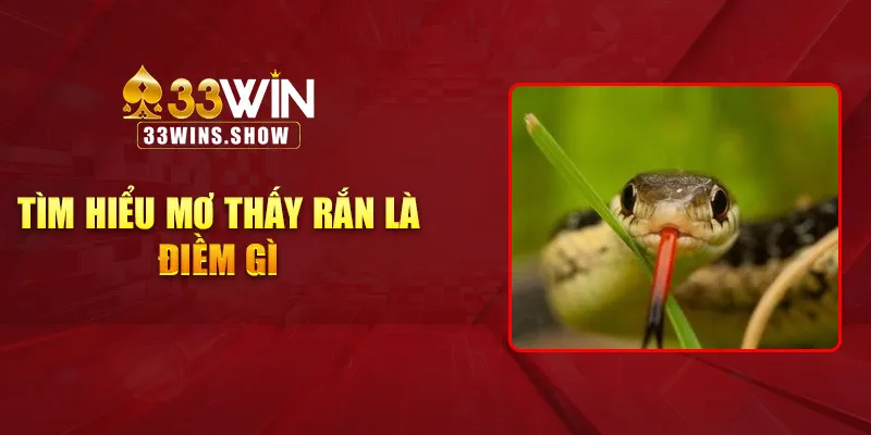 Tìm hiểu mơ thấy rắn là điềm gì