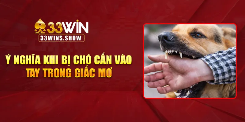 Ý nghĩa khi bị chó cắn vào tay trong giấc mơ